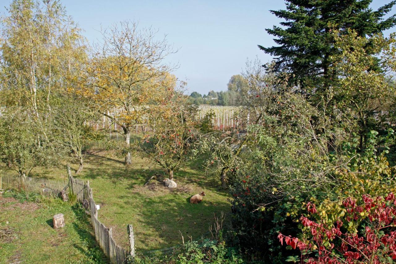 Hof Van Loverrijk Lier Exterior photo